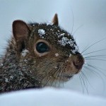 FB_IMG_1428509812153