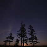 Stretching to the Heavens